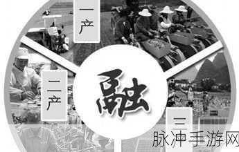 麻豆我精产国品一二三产：拓展麻豆：提升一二三产业，助力国品新发展