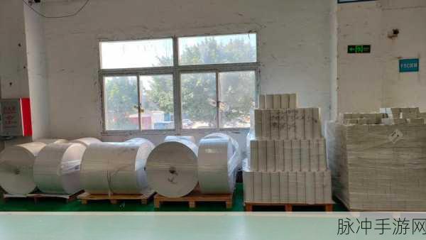 麻豆我精产国品一二三产：拓展麻豆：提升一二三产业，助力国品新发展