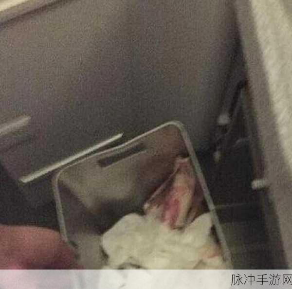 已满18岁带好纸巾：成年人的世界，纸巾与责任同行的成长之旅