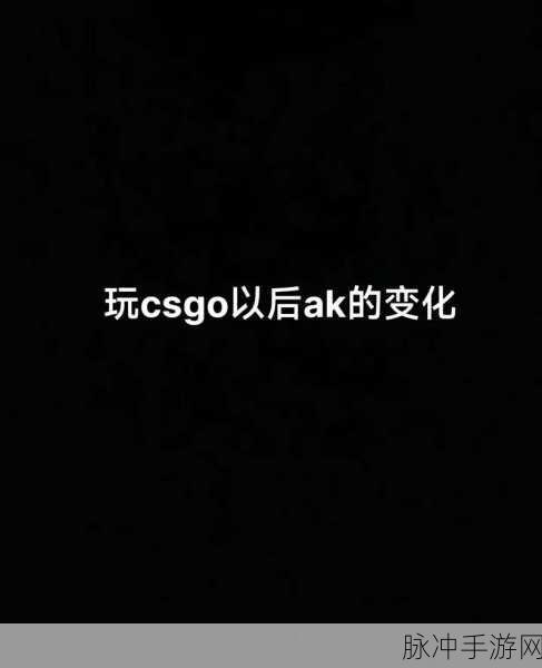 暴躁妹妹csgo暴躁老外玩游戏：暴躁妹妹与老外的CSGO巅峰对决，一场激烈的游戏之旅