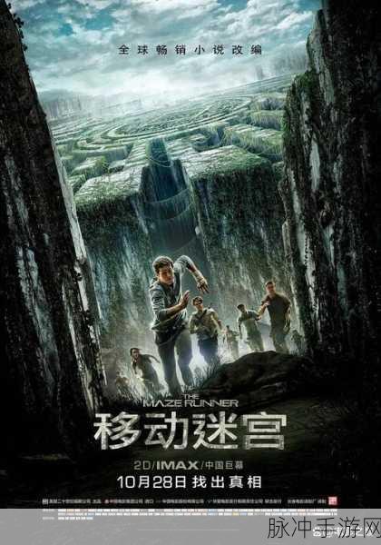 看片：探索电影世界的无限魅力与深度体验之旅