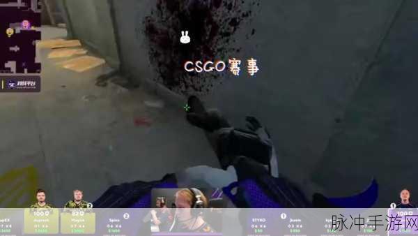 暴躁妹妹csgo姐姐：暴躁妹妹与姐姐的CSGO对决，谁能赢得游戏王者称号？