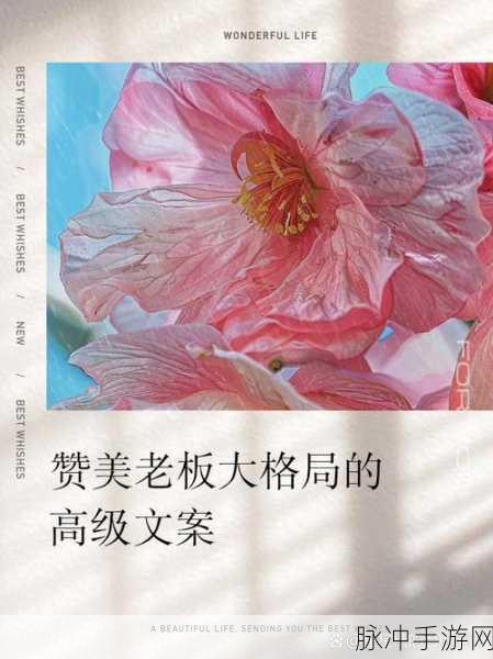 她开始慢迎迎合领导：“逐步适应领导风格，展现个人价值与团队协作”