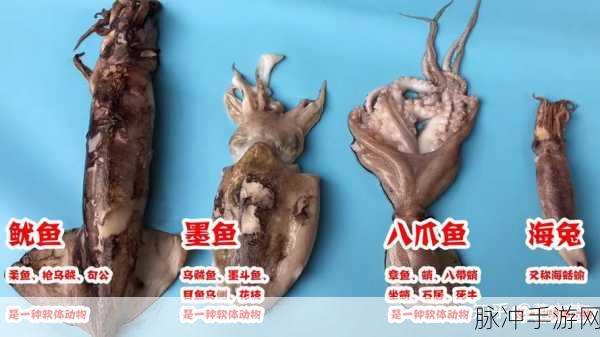 鱿鱼b2577在线观看网页版：拓展鱿鱼B2577在线观看：探索惊险刺激的全新冒险之旅