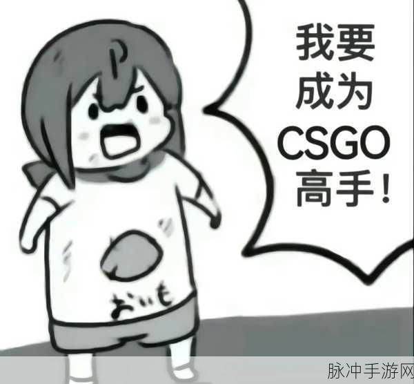 暴躁妹妹CSGO剧情介绍：暴躁妹妹的反击：在CSGO世界中寻找自我与勇气