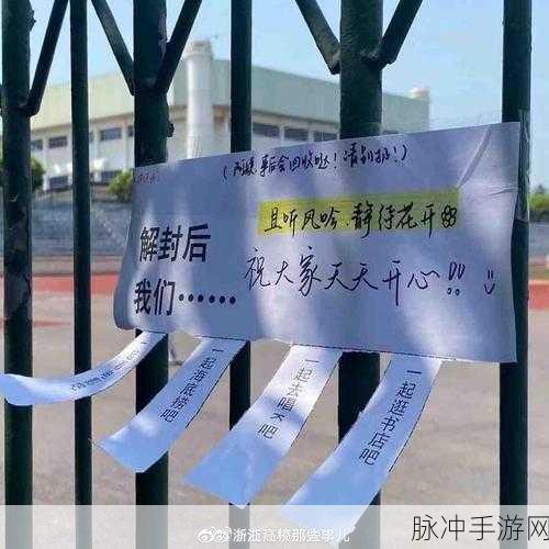 鹿子言疫情期间你且听风吟：疫情期间，你我共听风吟的岁月旋律
