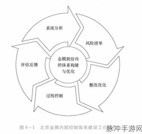 风险网站免费观看：全面解析风险管理策略与实施效果的关键要素