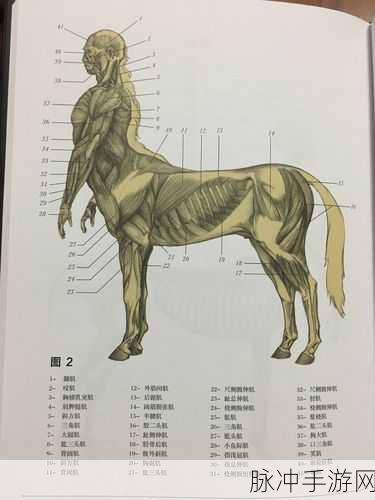 人马畜禽CRIPTOR：人马畜禽的生态保护与可持续发展研究探讨