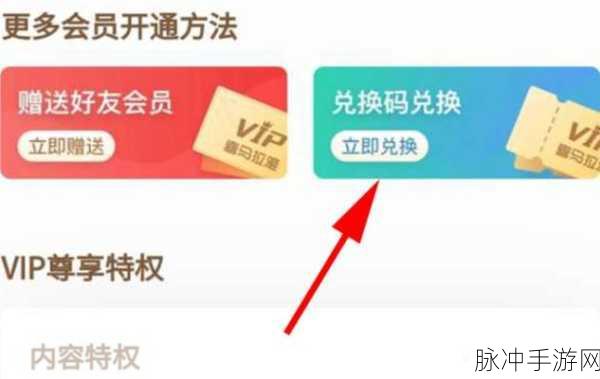 51漫画vip：畅享无限精彩，尽在51漫画VIP会员特权