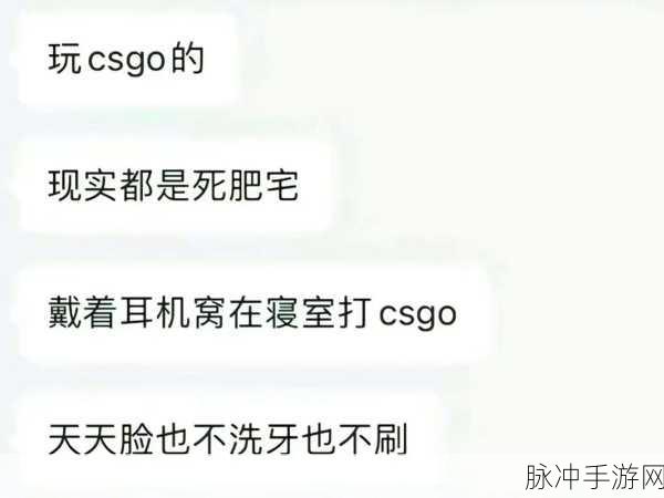 17岁俄罗斯csgo最火的一句：17岁俄罗斯玩家在CSGO中爆红的经典语录，震撼全网！