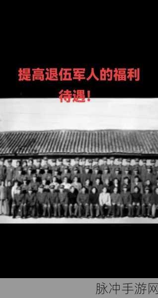 专业技术老兵被召回：专业技术老兵重返岗位，助力行业发展新征程