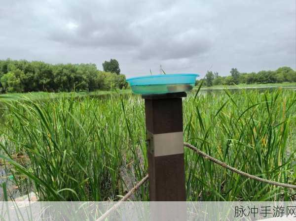 精东视频成人版免费在线观看：精东视频成人版免费在线观看，尽享优质内容与无限乐趣！