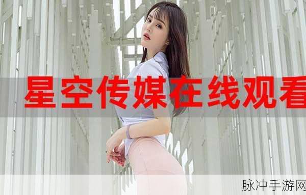 星空传媒有限公司网站官网：拓展星空传媒有限公司：引领创新视听体验的先锋平台