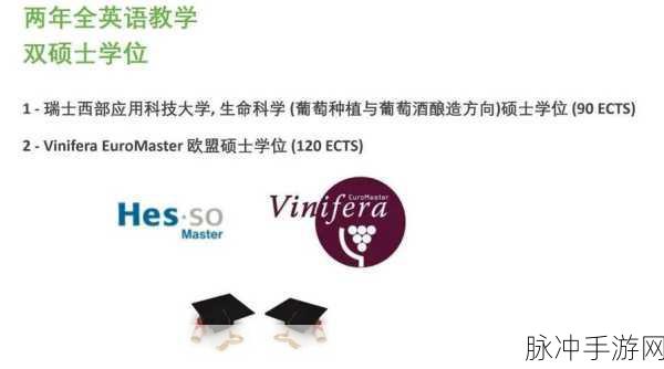 老狼仙踪林信息网贰佰信息金属网：老狼仙踪林信息网与贰佰信息金属网的全面合作升级新平台