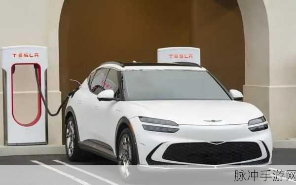 老狼仙踪林信息网贰佰信息金属网：老狼仙踪林信息网与贰佰信息金属网的全面合作升级新平台