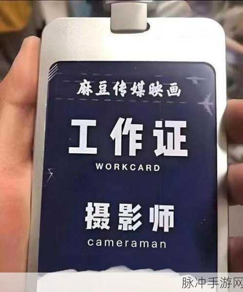 91麻豆精产国品一二三产区区：拓展91麻豆精产，助力一二三产业全面发展新篇章