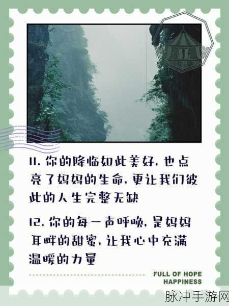 儿子与母亲做的小说：母子情深：在岁月中绽放的爱与成长