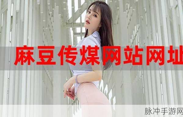 麻豆入口：拓展麻豆入口，助力创意产业新机遇与发展。