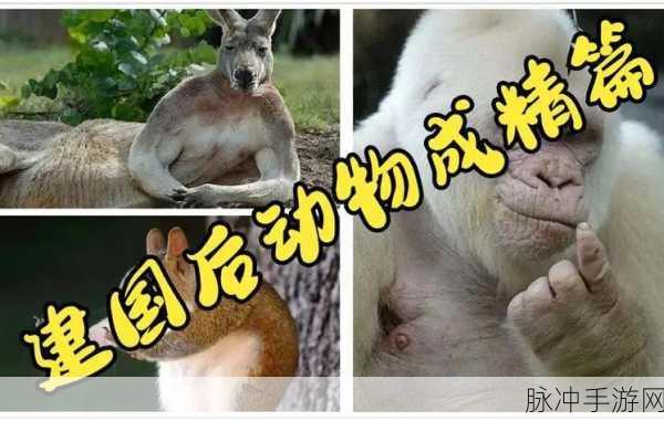 911爆料吃瓜黑料在线heiliao：深入揭秘911事件背后的不为人知的黑料与真相