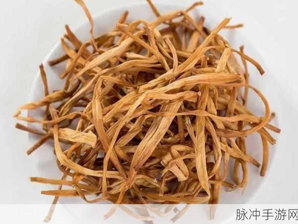 日本忘忧草乱码一二三四区别：探讨日本忘忧草中不同乱码一二三四的独特含义与区别