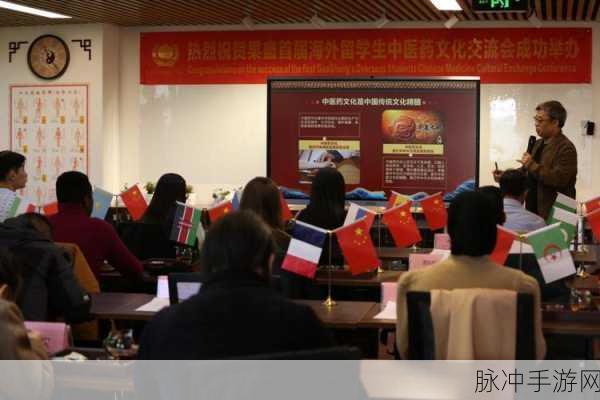 香蕉人文化传播有限公司：香蕉人文化传播有限公司：探索创新与多元的文化交流之旅