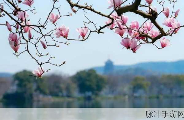 亭亭玉立国色天香四月：春光明媚，亭亭玉立国色天香四月的美丽景致