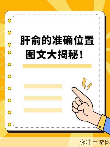 2023年办公室强肝的播出时间：2023年办公室强肝全新播出时间及详情大揭秘！