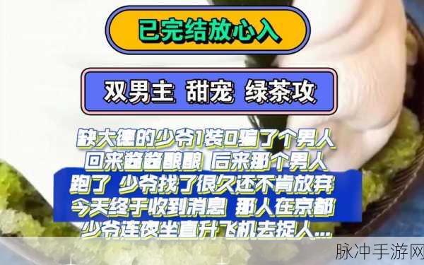 双男主做酱酱酿酿水声：双男主的甜蜜互动：酱酱酿酿水声中的故事与情感