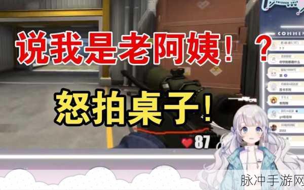 暴躁老阿姨CSGO最新攻略：2023年最新攻略：暴躁老阿姨在CSGO中的战术与技巧解析