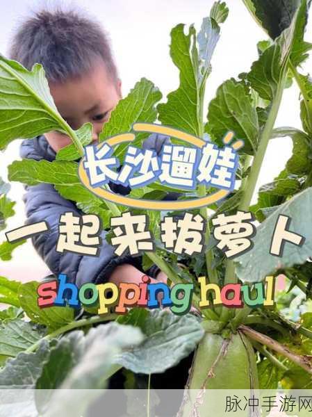 光腿拔萝卜光腿拔萝卜：光腿拔萝卜：春日田野上的奇趣体验与乐趣