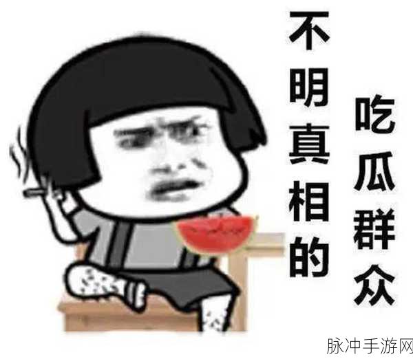 黑网料吃瓜免费最新视频：黑网料大揭秘：最新免费吃瓜视频全收录，快来围观！