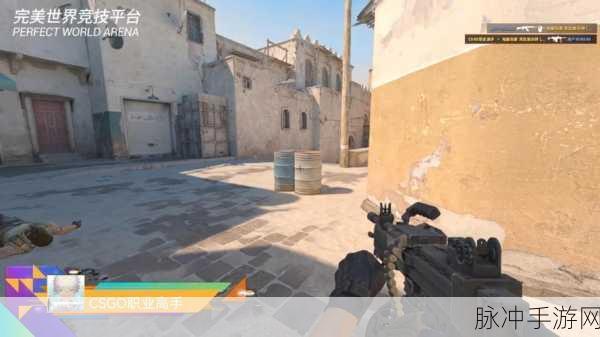 csgo高清大片蘑菇免费：探索CSGO高清大片：免费畅享刺激的蘑菇战斗体验