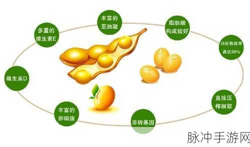 高清欧美精品XXXXX大豆行情：探索欧美精品大豆市场行情与高清趋势分析