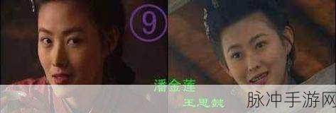 精品久久久久久久久久国产潘金莲：潘金莲传奇：欲望与背叛的古典情缘