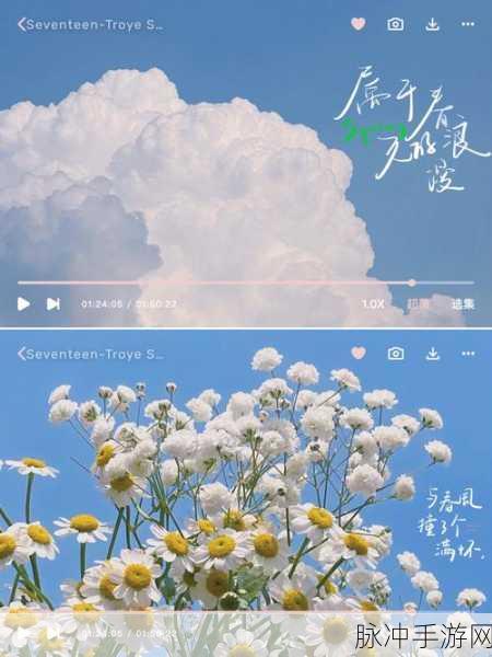 国产片和欧美片MV：从东到西：探索国产片与欧美电影MV的魅力交融