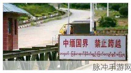 缅甸恐怖网站www：缅甸恐怖网站揭秘：黑暗网络中的真相与背后势力分析