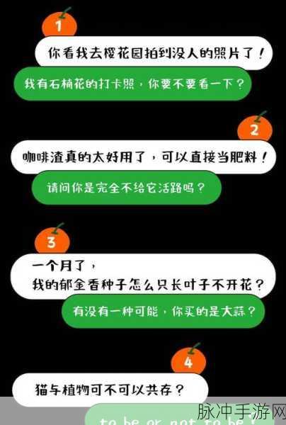 搞机十分钟恶心免费恶心：十分钟内恶搞创意大挑战，免费分享让你笑不停！