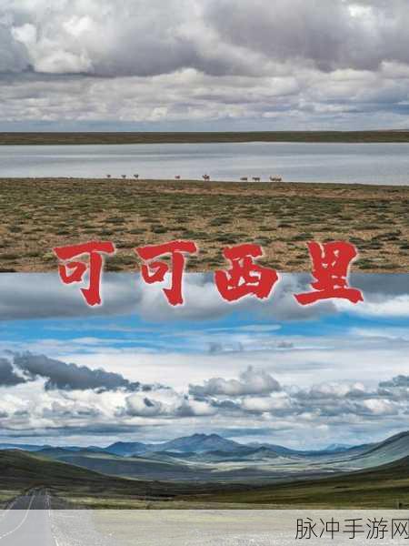 日本无人区码一码二码三码：探索日本无人区：神秘自然与人文传奇之旅