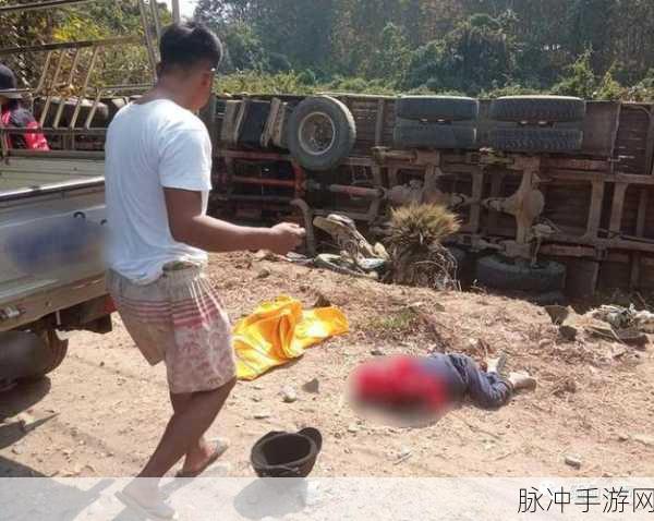 缅甸恐怖血腥网站www破解版：探索缅甸恐怖血腥事件背后的真相与影响