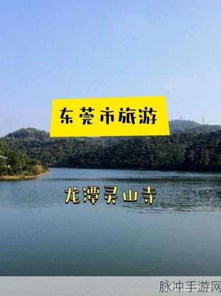 96533电视影片免费大全：免费畅享96533电视影片，海量精彩内容一网打尽！