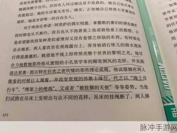 占鸾1v2：在复杂局势中占鸾1v2：策略与意志的较量