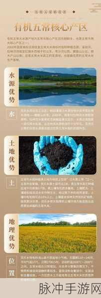 91精品国产一二三产区区别：91精品国产一二三产区的特点与区别解析