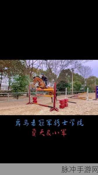 中级骑术哪里学 部落：如何在拓展中级骑术的过程中选择合适的学习部落
