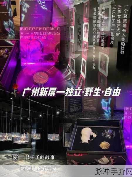 xxmhsp：“让我们一起探索xxmhsp的无限可能与创意”
