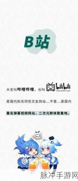 B站的黄色网站大全：探索B站精彩内容，发现更多优质网站大合集！