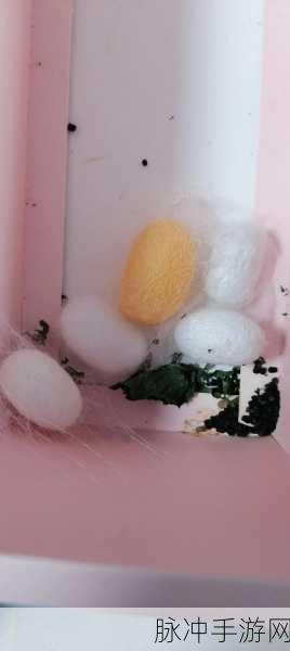 一小孩半夜喂女孩吃困吧：夜深人静时，小孩轻声喂女孩吃困吧的温馨故事