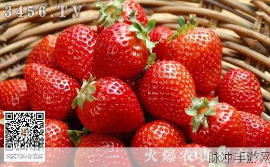 caomei.apk：畅享新鲜美味：caomei.apk应用全攻略与使用心得