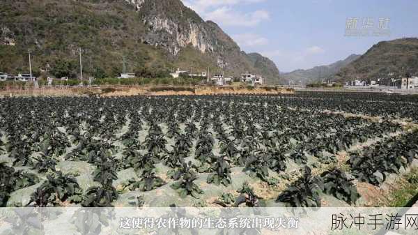 虫虫资源库：全面提升虫虫资源库的内容与价值，助力用户更好地利用。