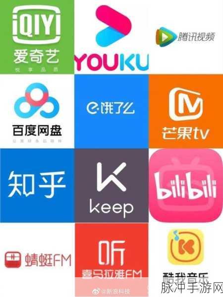 b站推广网站2026mmm：探索2026mmm：打造你的高效B站推广策略