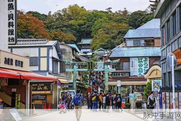 日本大但人文艺术项目介绍：探索日本大但独特人文艺术与文化的魅力之旅